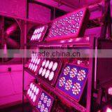 Cheapest Hot Sell 15w Led Grow Light 12v dc thumbnail-4