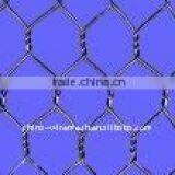 China Factory Supply Chicken Wire Mesh