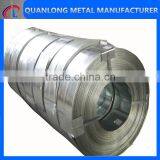 Z100 Hc300lad+z gi Strip thumbnail-1