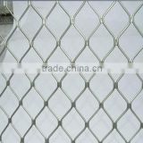 Stainless steel Beautiful grid wire mesh/beautiful grid mesh/hebei tuosheng