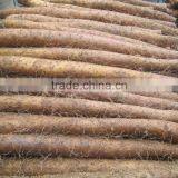 Fresh Chinese Yam for Sale thumbnail-5