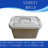 custom plastic tool box mould with handle manufacturer