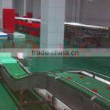Food Conveyor for Slaughtering Industry/modular Belt Conveyor Line thumbnail-5