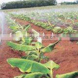 Agricultural Micro-spray Tape Machinery Express Hot thumbnail-4