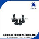 Black Hex Bolts for Din933 Standard