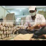 DIAMOND JUTE DIVERSIFICATION & CO. company overview - view 1 thumbnail