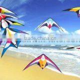 Dual Line Delta Stunt Kites thumbnail-1