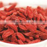 180-750 A Grade Dried Gojiberry From Ningxia thumbnail-5