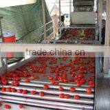 Tomato Paste Processing Line/produce Tomato Sacuce,juice, Ketchup