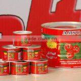 4.5KG High Quality Manufactory China Factory Canned Tomato Paste thumbnail-6