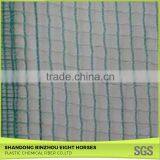China Market Green Olive Harvest Nets for Sale