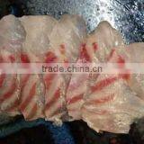 Kue Epinephelus Bruneus Longtooth Grouper thumbnail-2