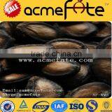 Wholesale Delicious Black Watermelon Seeds