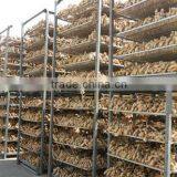 2016 Crop Air Dried Ginger at Good Price thumbnail-4