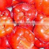 FROZEN RED PEPPER thumbnail-6