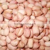 Indian Peanut Exporters