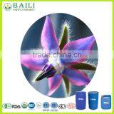 Virgin Borage Oil Healthcare Supplement thumbnail-2