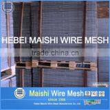 1/2" Sq Mesh Galvanized Weld Wire Mesh thumbnail-3