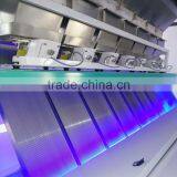 Plastic Color Sorting Machines/Plastic Belt Color Sorter thumbnail-5