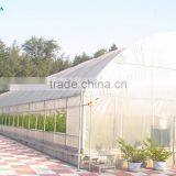 2016 New Easy Assembled Tunnel Greenhouse thumbnail-6
