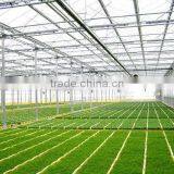 Saving Water Irrigation System,modern Greenhouse for Agriculture Farming With Professional Designing thumbnail-3