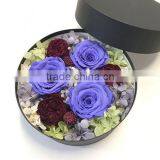 Hebei Huiya Floral Foam Round Shape, Circular Box Plate Floral Foam thumbnail-6