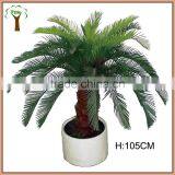 Potted Artificial Mini Sago Cycas Tree thumbnail-1