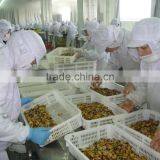 IQF Blue Mussel Meat thumbnail-5