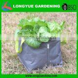 Hot Selling Cheap Growing Plastic Bags for Plants thumbnail-1