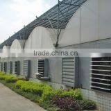 Low Cost Plastic Film Greenhouse Tunnel for Sale thumbnail-1