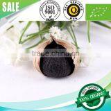 Supply l Black Garlic 100% Natural thumbnail-3