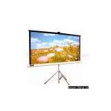 Projection Screen thumbnail-1