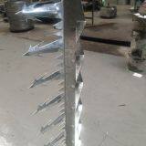 Galvanized Razor Spike for Security Wall Fence thumbnail-3