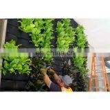 Garden Vertical Wall Garden Planter for Planting thumbnail-3
