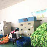 Kangsen Art & Craft Co., Ltd company overview - view 3 thumbnail