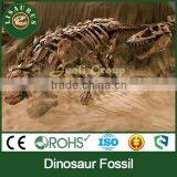 Lisaurus-0276 Garden Equipment Real Size Dinosaur Rossil - Skull