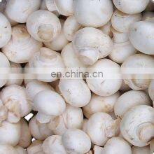 Good Price Mushrooms Pickled From Vietnam thumbnail-1