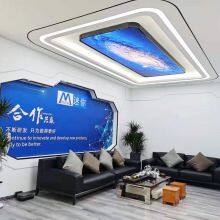 Shenzhen Mini Automation Co., Ltd company overview - view 2 thumbnail