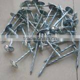 Umbrella Head Roofing Nails 001