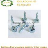 OEM Professional Precision ISO ROHS Self-drilling Screw Manufacturer