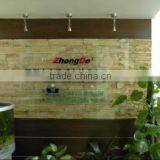 Shenzhen Zhongde Audio-Technical Co., Ltd. company overview - view 1 thumbnail