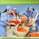 Organic Ningxia Goji Berry thumbnail-2