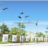 30W Wind and Solar Hybrid Street Light System