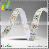 60 leds per meter IP68 double silicone coated led strip 5050