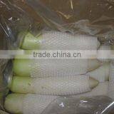 Hot Sale Radish thumbnail-2
