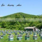 Changge City Shengda Apiculture Limited By Share company overview - view 2 thumbnail