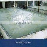 Different Capacity Turn Key Project Automatic Salt Production Plant thumbnail-3