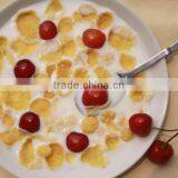 Kelloggs Corn Flakes Machine/making Machine/roasting Machine h