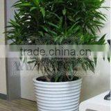 Practical Garden Plant Pot thumbnail-1