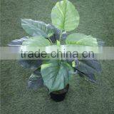 Brand Name Artificial Bonsai Plants Artificial Wild Taro Bonsai Decor thumbnail-1